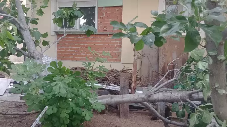 Δυνατός άνεμος σάρωσε Κοζάνη και Γρεβενά – Καταστροφές σε καλλιέργειες και ζημιές στην πόλη Δυνατός άνεμος σάρωσε Κοζάνη και Γρεβενά – Καταστροφές σε καλλιέργειες και ζημιές στην πόλη