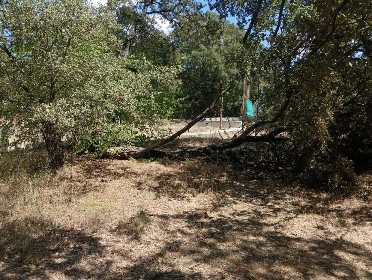 Δυνατός άνεμος σάρωσε Κοζάνη και Γρεβενά – Καταστροφές σε καλλιέργειες και ζημιές στην πόλη Δυνατός άνεμος σάρωσε Κοζάνη και Γρεβενά – Καταστροφές σε καλλιέργειες και ζημιές στην πόλη