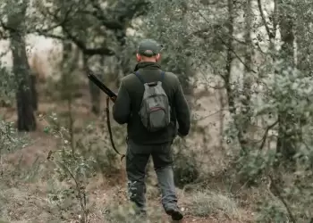 Κυνηγετική περίοδος: Ξεκινά στις 20 Αυγούστου – Απεριόριστο το κυνήγι για 10 είδη, τι επιτρέπεται και τι όχι