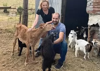 ΟΠΕΚΕΠΕ: Καθαροί και νόμιμοι δηλώνουν Σεμερτζίου και Μαγειρίας