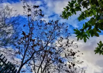 Πώς θα είναι ο καιρός σε Κοζάνη και Δυτική Μακεδονία σήμερα Τετάρτη, 27 Αυγούστου 2025: Γενικά αίθριος με πρόσκαιρες τοπικές νεφώσεις Πώς θα είναι ο καιρός σε Κοζάνη και Δυτική Μακεδονία σήμερα Τετάρτη, 27 Αυγούστου 2025: Γενικά αίθριος με πρόσκαιρες τοπικές νεφώσεις