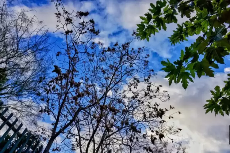 Πώς θα είναι ο καιρός σε Κοζάνη και Δυτική Μακεδονία σήμερα Τετάρτη, 27 Αυγούστου 2025: Γενικά αίθριος με πρόσκαιρες τοπικές νεφώσεις