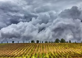 Πώς θα είναι ο καιρός σε Κοζάνη και Δυτική Μακεδονία σήμερα Κυριακή, 31 Αυγούστου 2025: Αίθριος με νεφώσεις και πιθανές τοπικές βροχές