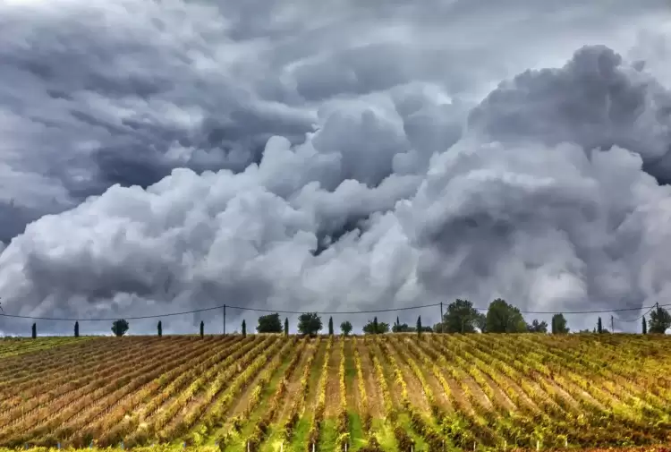 Πώς θα είναι ο καιρός σε Κοζάνη και Δυτική Μακεδονία σήμερα Κυριακή, 31 Αυγούστου 2025: Αίθριος με νεφώσεις και πιθανές τοπικές βροχές Πώς θα είναι ο καιρός σε Κοζάνη και Δυτική Μακεδονία σήμερα Κυριακή, 31 Αυγούστου 2025: Αίθριος με νεφώσεις και πιθανές τοπικές βροχές