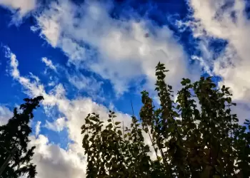 Πώς θα είναι ο καιρός σε Κοζάνη και Δυτική Μακεδονία σήμερα Πέμπτη, 21 Αυγούστου 2025: αίθριος καιρός με ασθενείς ανέμους Πώς θα είναι ο καιρός σε Κοζάνη και Δυτική Μακεδονία σήμερα Πέμπτη, 21 Αυγούστου 2025: