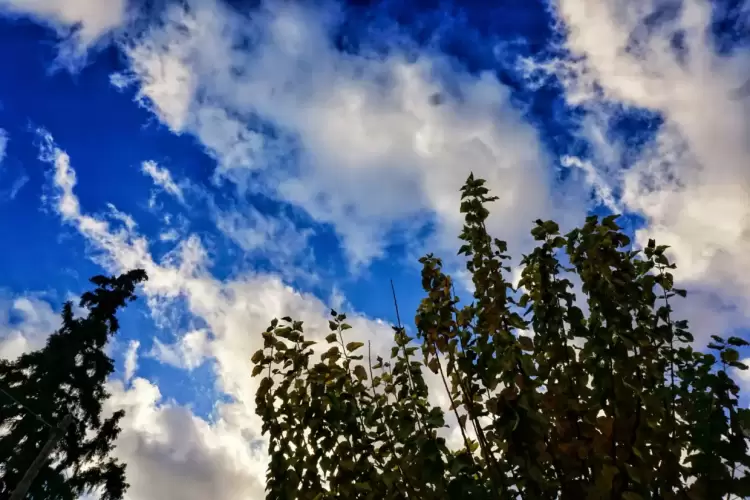 Πώς θα είναι ο καιρός σε Κοζάνη και Δυτική Μακεδονία σήμερα Πέμπτη, 21 Αυγούστου 2025: αίθριος καιρός με ασθενείς ανέμους Πώς θα είναι ο καιρός σε Κοζάνη και Δυτική Μακεδονία σήμερα Πέμπτη, 21 Αυγούστου 2025: