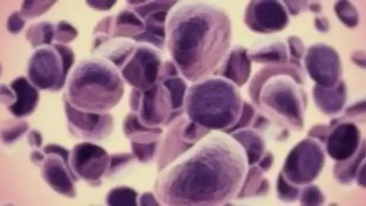 Η Θεσσαλονίκη στην αιχμή της Ευρώπης στη μάχη κατά του καρκίνου