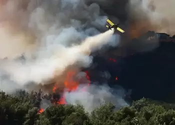 Reuters: Ο «σιωπηλός ένοχος» πίσω από τις καταστροφικές πυρκαγιές στην Ελλάδα