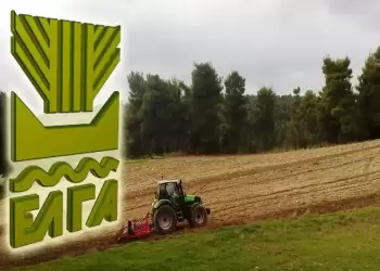 Άμεση παρέμβαση του Δήμου Εορδαίας προς τον ΕΛΓΑ για τις ζημιές στις καλλιέργειες από τα έντονα καιρικά φαινόμενα