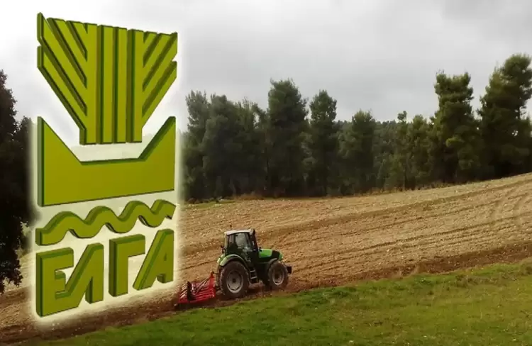 Άμεση παρέμβαση του Δήμου Εορδαίας προς τον ΕΛΓΑ για τις ζημιές στις καλλιέργειες από τα έντονα καιρικά φαινόμενα Άμεση παρέμβαση του Δήμου Εορδαίας προς τον ΕΛΓΑ για τις ζημιές στις καλλιέργειες από τα έντονα καιρικά φαινόμενα