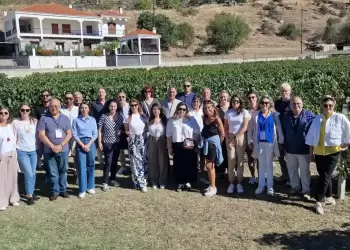 Αυτόματο προσχέδιο