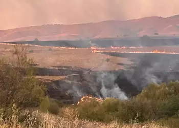 Φλώρινα: Πυρκαγιά σε παραμεθόριο περιοχή – Σωτήρια η έγκαιρη επέμβαση