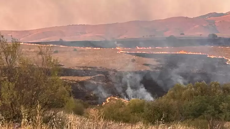 Φλώρινα: Πυρκαγιά σε παραμεθόριο περιοχή – Σωτήρια η έγκαιρη επέμβαση