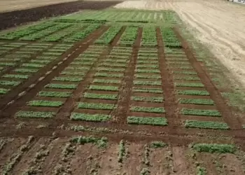 Η γεωργία του μέλλοντος έχει ελληνικό Dna