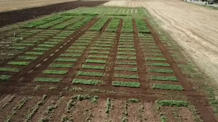 Η γεωργία του μέλλοντος έχει ελληνικό DNA Η γεωργία του μέλλοντος έχει ελληνικό Dna