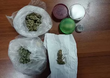 Γρεβενά: Συνελήφθησαν 2 άτομα για καλλιέργεια δενδρυλλίων κάνναβης