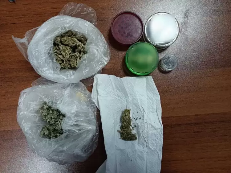 Γρεβενά: Συνελήφθησαν 2 άτομα για καλλιέργεια δενδρυλλίων κάνναβης