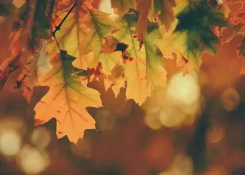 Καιρός: Έρχεται φθινόπωρο με βροχές & πτώση θερμοκρασίας