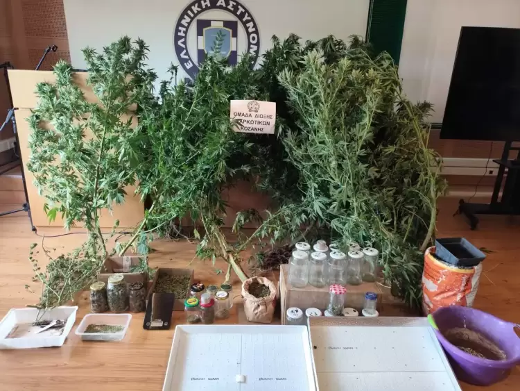 Κοζάνη: Συνελήφθη 65χρονος για καλλιέργεια κάνναβης