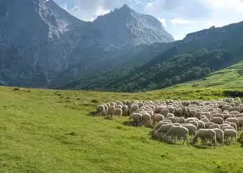 ΟΠΕΚΕΠΕ: 22,6 εκατ. € παράνομες επιδοτήσεις – Ο «χάρτης» ανά Περιφέρεια
