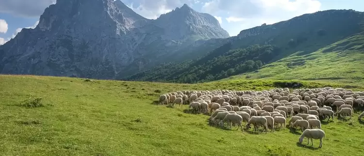ΟΠΕΚΕΠΕ: 22,6 εκατ. € παράνομες επιδοτήσεις – Ο «χάρτης» ανά Περιφέρεια