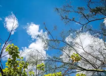 Πώς θα είναι ο καιρός σε Κοζάνη και Δυτική Μακεδονία σήμερα Σάββατο, 20 Σεπτεμβρίου 2025: Γενικά αίθριος με λίγες τοπικές νεφώσεις
