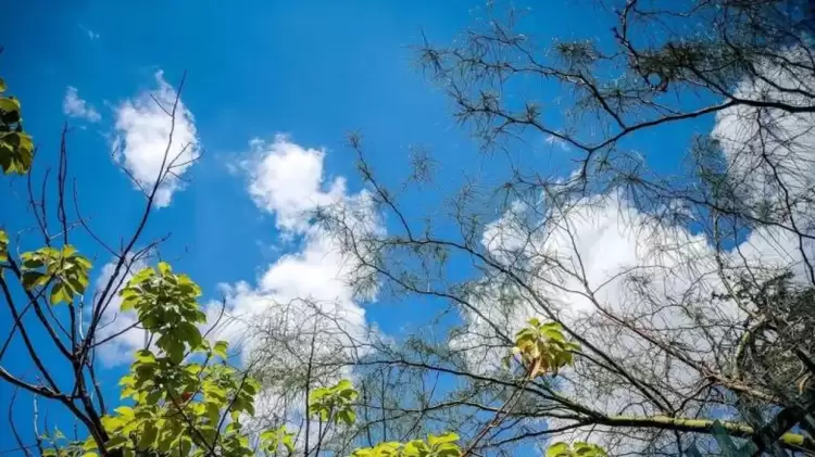 Πώς θα είναι ο καιρός σε Κοζάνη και Δυτική Μακεδονία σήμερα Σάββατο, 20 Σεπτεμβρίου 2025: Γενικά αίθριος με λίγες τοπικές νεφώσεις