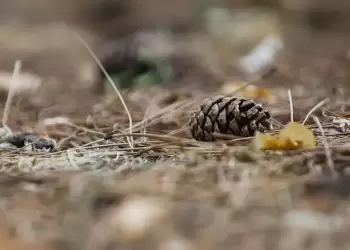 Πώς θα είναι ο καιρός σε Κοζάνη και Δυτική Μακεδονία σήμερα Τρίτη, 30 Σεπτεμβρίου 2025: Νεφώσεις με ασθενείς τοπικές βροχές.