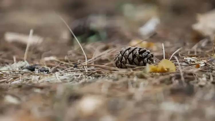 Πώς θα είναι ο καιρός σε Κοζάνη και Δυτική Μακεδονία σήμερα Τρίτη, 30 Σεπτεμβρίου 2025: Νεφώσεις με ασθενείς τοπικές βροχές.