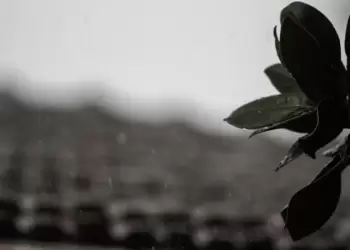 Πώς θα είναι ο καιρός σε Κοζάνη και Δυτική Μακεδονία σήμερα Δευτέρα, 15 Σεπτεμβρίου 2025: Συννεφιά με πιθανές τοπικές βροχές