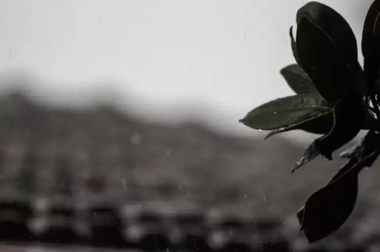 Πώς θα είναι ο καιρός σε Κοζάνη και Δυτική Μακεδονία σήμερα Δευτέρα, 15 Σεπτεμβρίου 2025: Συννεφιά με πιθανές τοπικές βροχές Πώς θα είναι ο καιρός σε Κοζάνη και Δυτική Μακεδονία σήμερα Δευτέρα, 15 Σεπτεμβρίου 2025: Συννεφιά με πιθανές τοπικές βροχές