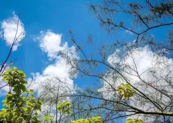 Πώς θα είναι ο καιρός σε Κοζάνη και Δυτική Μακεδονία σήμερα Τρίτη, 16 Σεπτεμβρίου 2025: Αίθριος με μικρή άνοδο της θερμοκρασίας