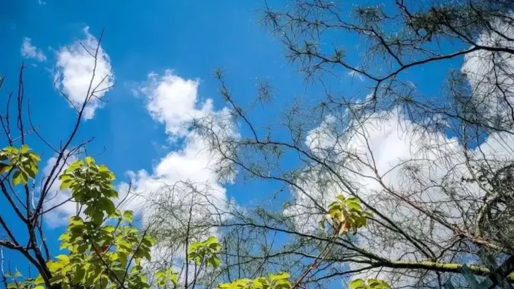 Πώς θα είναι ο καιρός σε Κοζάνη και Δυτική Μακεδονία σήμερα Τρίτη, 16 Σεπτεμβρίου 2025: Αίθριος με μικρή άνοδο της θερμοκρασίας