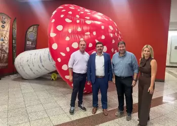 Τα Γρεβενά στο Σύνταγμα