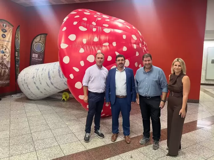 Τα Γρεβενά στο Σύνταγμα