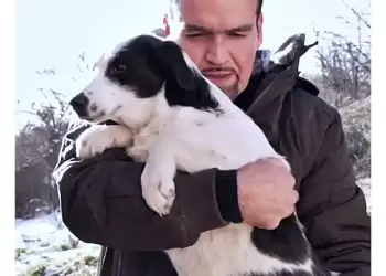 «Τέρατα!», η νέα ταινία του Νίκου Κουρού (trailer)