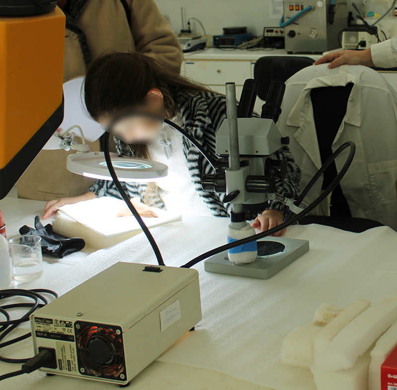 Άνοιξε για το κοινό την Κυριακή το Μουσείο Αιανής - Στο πλαίσιο του εορτασμού της «Ευρωπαϊκής Ημέρας Συντήρησης 2025» Άνοιξε για το κοινό την Κυριακή το Μουσείο Αιανής – Στο πλαίσιο του εορτασμού της «Ευρωπαϊκής Ημέρας Συντήρησης 2025»