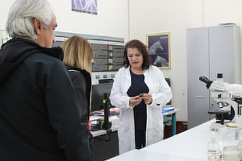 Άνοιξε για το κοινό την Κυριακή το Μουσείο Αιανής - Στο πλαίσιο του εορτασμού της «Ευρωπαϊκής Ημέρας Συντήρησης 2025» Άνοιξε για το κοινό την Κυριακή το Μουσείο Αιανής – Στο πλαίσιο του εορτασμού της «Ευρωπαϊκής Ημέρας Συντήρησης 2025»