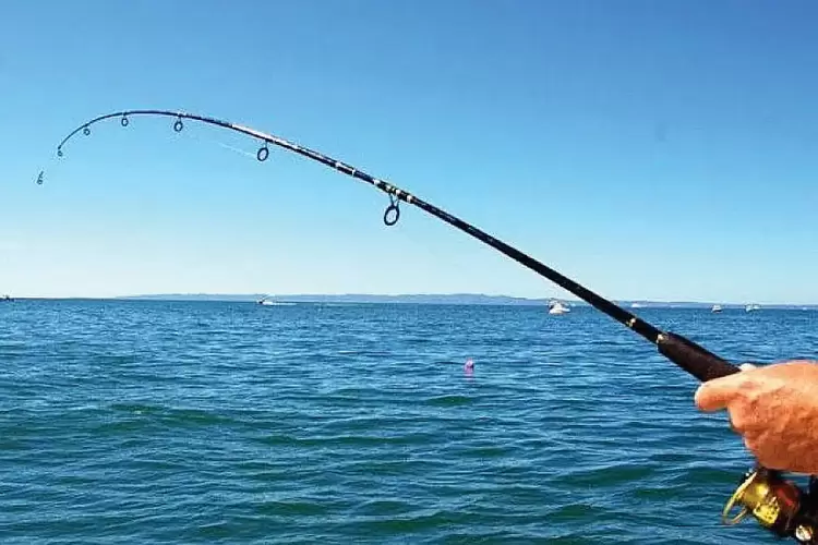 Διασυλλογικοί Αγώνες Αθλητικής Αλιείας Κυπρίνου