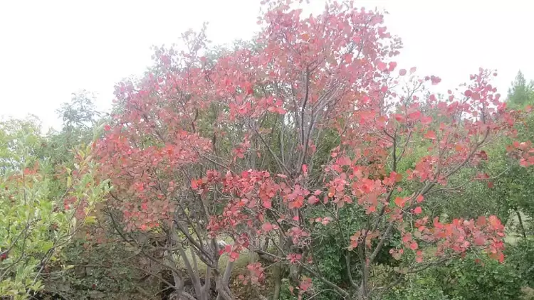 Η επιστροφή της φύσης στις πόλεις - Νέα τάση αλλά και ευρωπαϊκή νόρμα Η επιστροφή της φύσης στις πόλεις – Νέα τάση αλλά και ευρωπαϊκή νόρμα