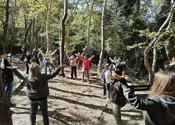 Επιτυχία Δράσης «Δάσος για Όλους»: Δασοθεραπεία & Πρόσβαση με Joëlette στο Βελβεντό