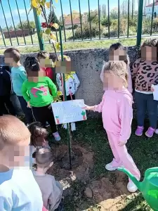 Φύτευση οπωροφόρων δενδρυλλίων στο 8ο Νηπιαγωγείο Φλώρινας