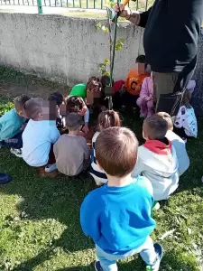 Φύτευση οπωροφόρων δενδρυλλίων στο 8ο Νηπιαγωγείο Φλώρινας