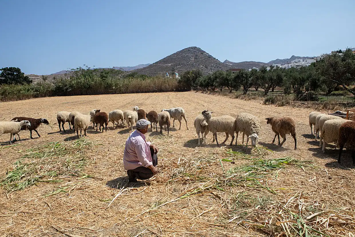 Γερνάει η γεωργία στην Ευρώπη
