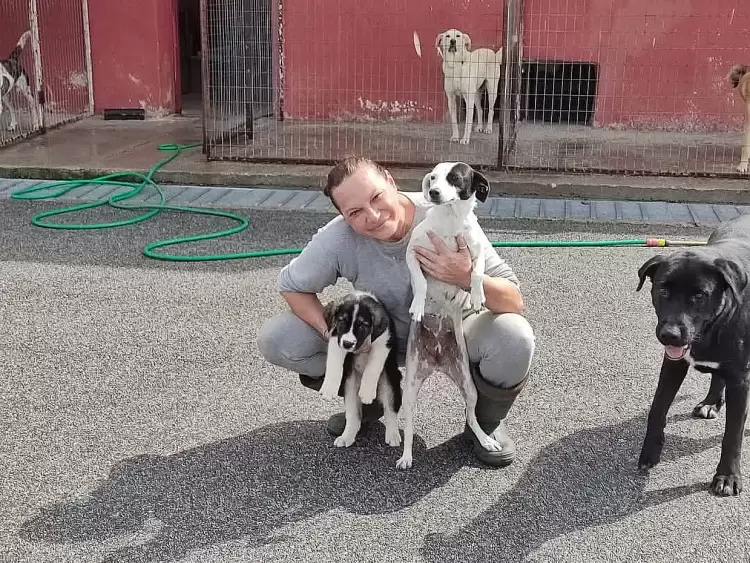 Λειτουργία του Καταφυγίου Αμυνταίου, με αφορμή την Παγκόσμια Ημέρα των Ζώων