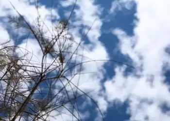 Πώς θα είναι ο καιρός σε Κοζάνη και Δυτική Μακεδονία σήμερα Τετάρτη, 29 Οκτωβρίου 2025: Γενικά αίθριος με λίγες νεφώσεις