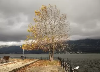 Πώς θα είναι ο καιρός σε Κοζάνη και Δυτική Μακεδονία σήμερα Τετάρτη, 22 Οκτωβρίου 2025: Συννεφιές με τοπικές βροχές