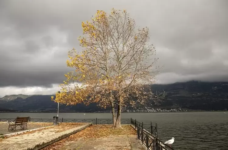 Πώς θα είναι ο καιρός σε Κοζάνη και Δυτική Μακεδονία σήμερα Τετάρτη, 22 Οκτωβρίου 2025: Συννεφιές με τοπικές βροχές Πώς θα είναι ο καιρός σε Κοζάνη και Δυτική Μακεδονία σήμερα Τετάρτη, 22 Οκτωβρίου 2025: Συννεφιές με τοπικές βροχές