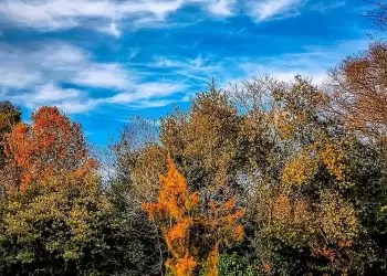 Πώς θα είναι ο καιρός σε Κοζάνη και Δυτική Μακεδονία σήμερα Πέμπτη, 30 Οκτωβρίου 2025: Αίθριος με αραιές νεφώσεις