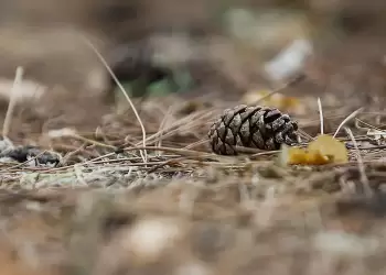 Πώς θα είναι ο καιρός σε Κοζάνη και Δυτική Μακεδονία σήμερα Δευτέρα, 20 Οκτωβρίου 2025: Νεφώσεις με ασθενείς τοπικές βροχές Πώς θα είναι ο καιρός σε Κοζάνη και Δυτική Μακεδονία σήμερα Δευτέρα, 20 Οκτωβρίου 2025: Νεφώσεις με ασθενείς τοπικές βροχές